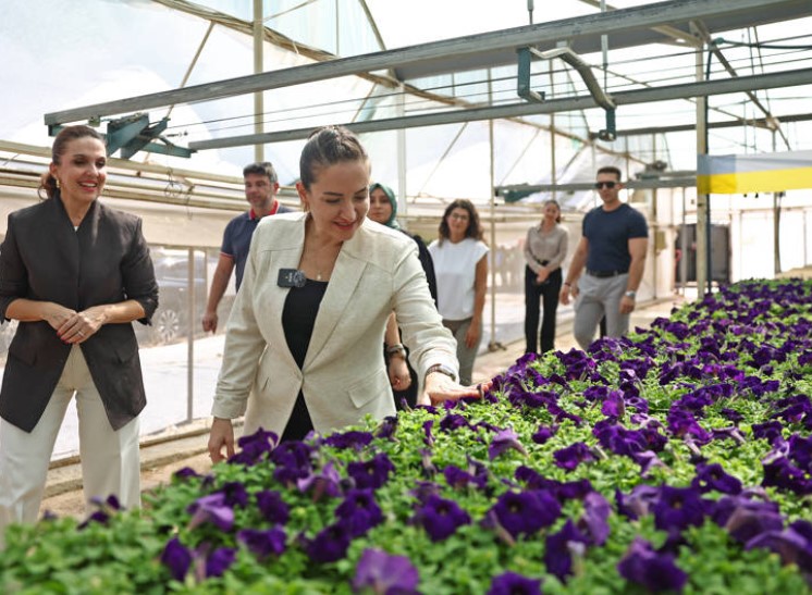 Başkan Vekili Özdemir, Bitki Üretim Tesisini İnceledi