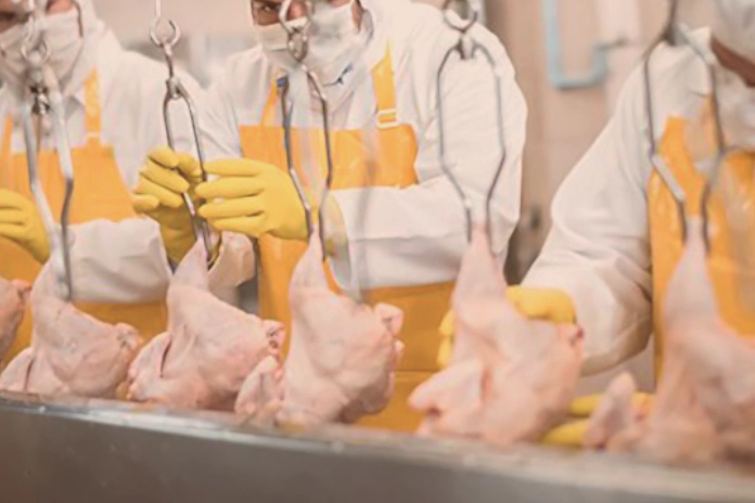 Filipinler’e Kanatlı Et ve Su Ürünleri İhracatı Başladı