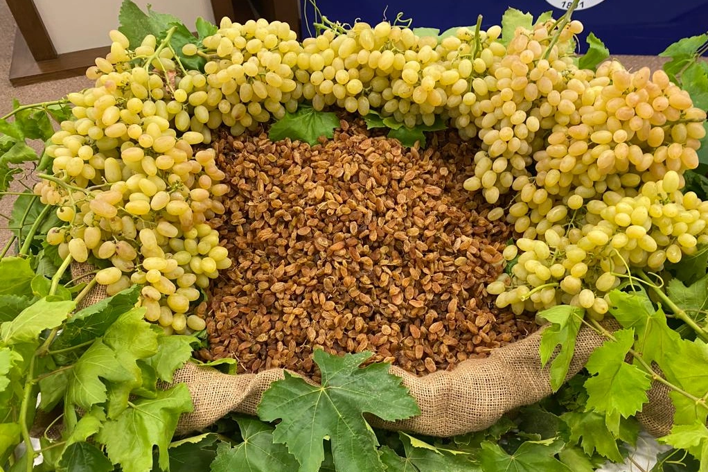 Kuru Meyve Sektöründen 2025 Değerlendirmesi