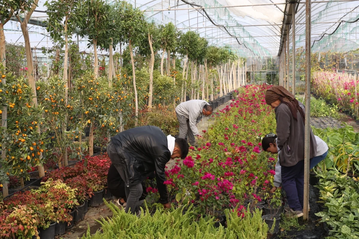 Muğla, Yerel Kalkınmaya Büyük Destek Veriyor