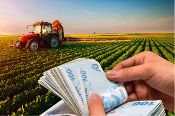 Tarımsal Destekler: 349 Milyon TL Çiftçilerin Hesaplarına Yatırıldı